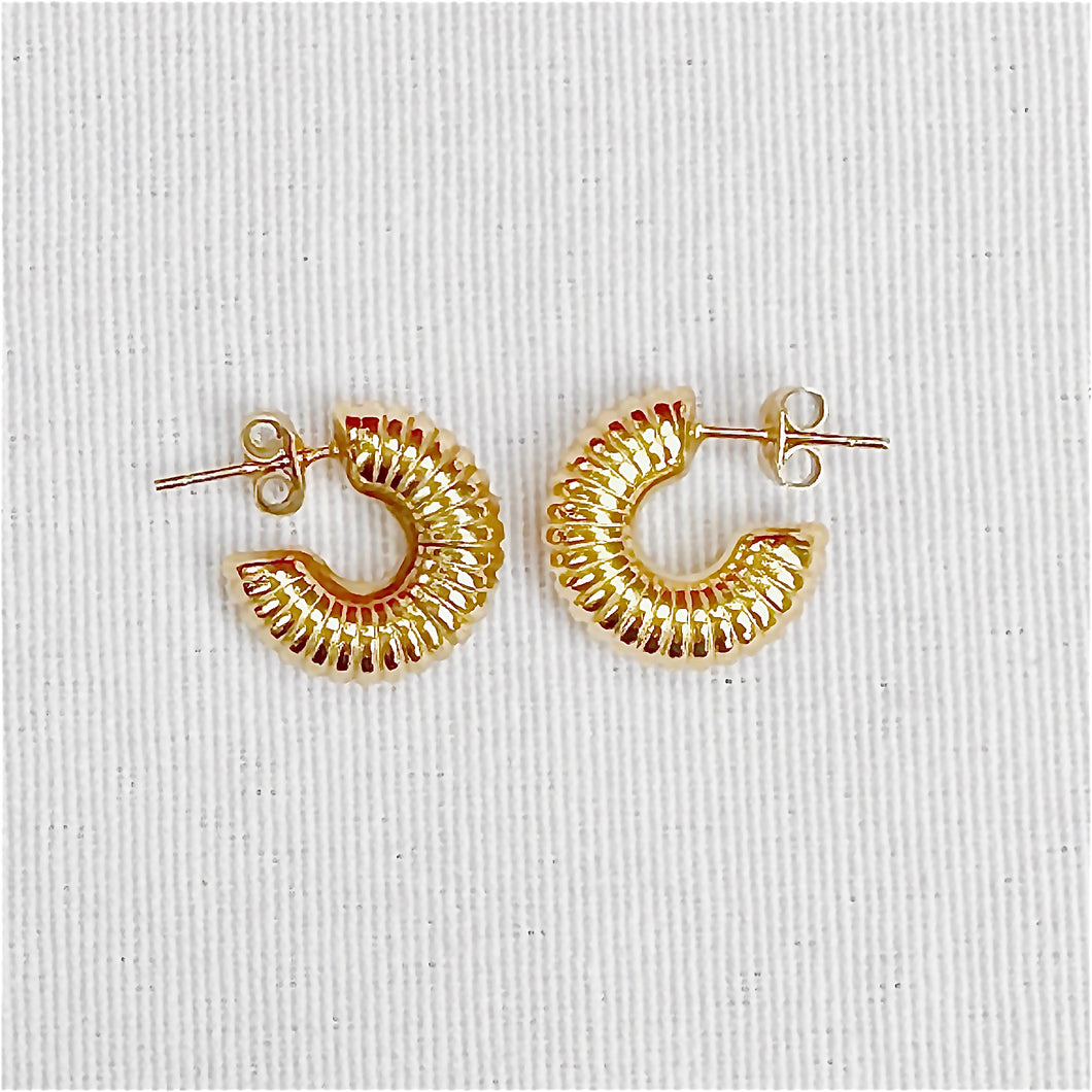 Everyday Ribbed Hoop Earrings