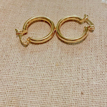 Load image into Gallery viewer, Everyday Gold Plated Hoop Earrings