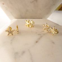 Load image into Gallery viewer, Golden Starfish Earrings